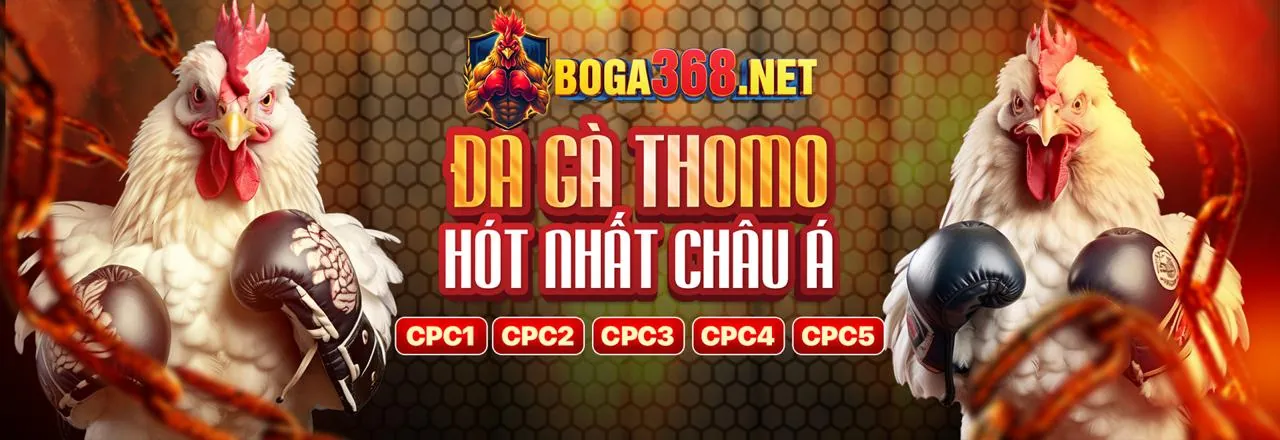 Chương trình khuyến mãi hấp dẫn tại 123bet app